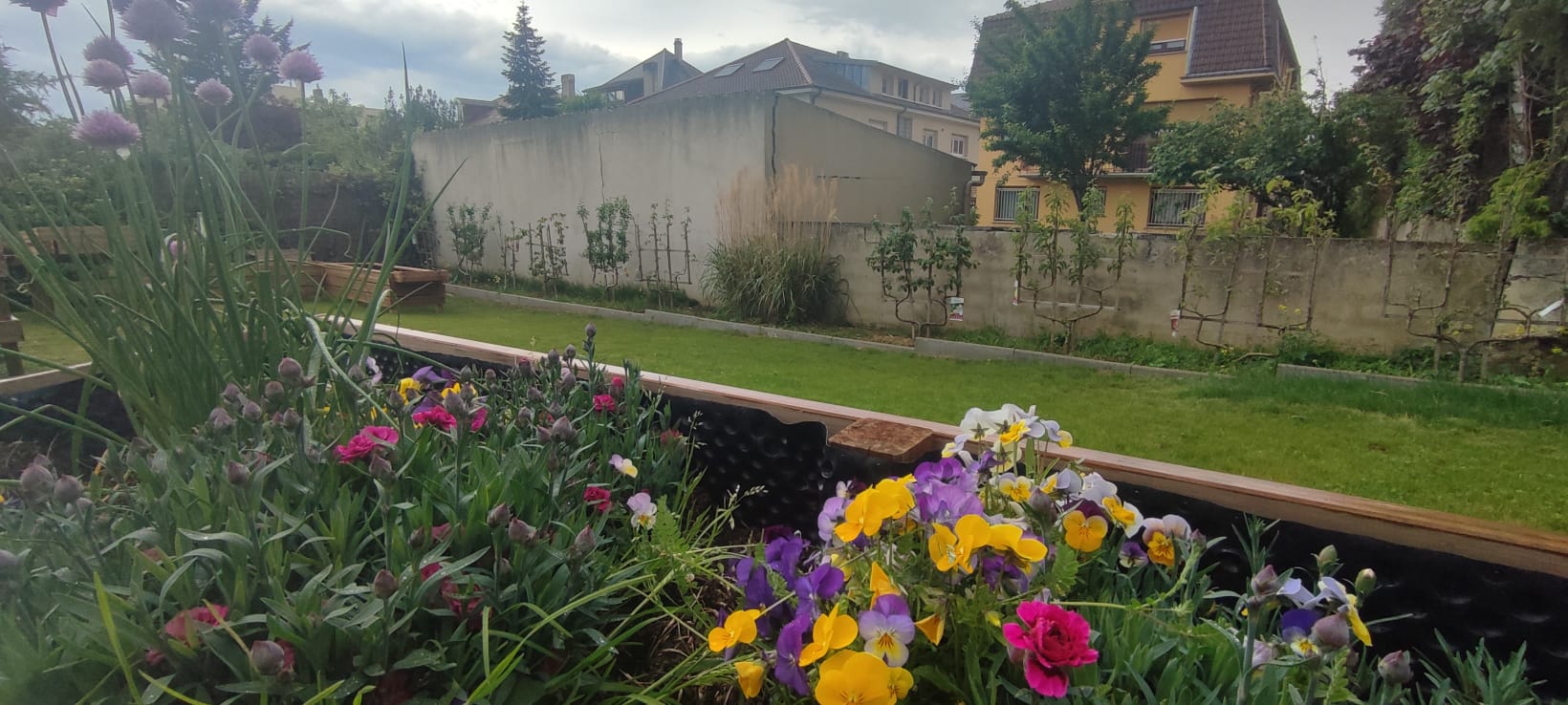 Jardin partagé